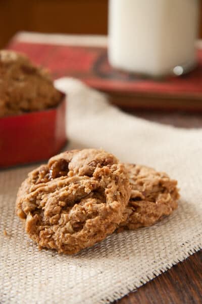 Post image for Anzac Biscuits at the Food Blogger’s Bake Sale!!!
