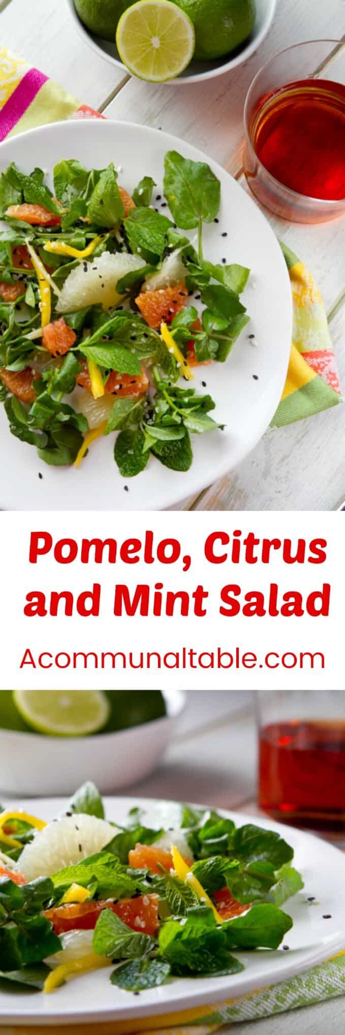Sweet, sour and a little spicy, this Pomelo, Citrus and Mint Salad recipe is a refreshing side with grapefruit and mangos, perfect for backyard barbeques.