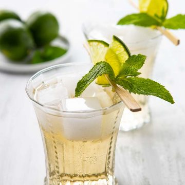 Close up of a Gin Mule in a cocktail glass garnished with a fresh mint sprig and lime slices.