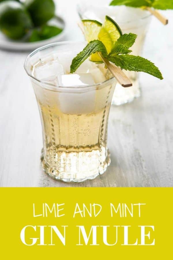 Gin and Ginger Beer Moscow Mule RecipeA Communal Table